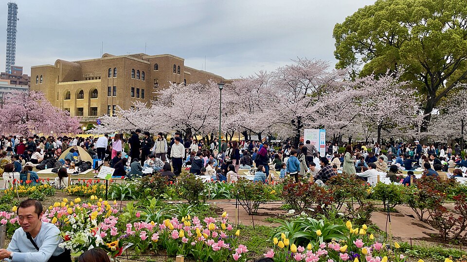 名古屋の花見スポット